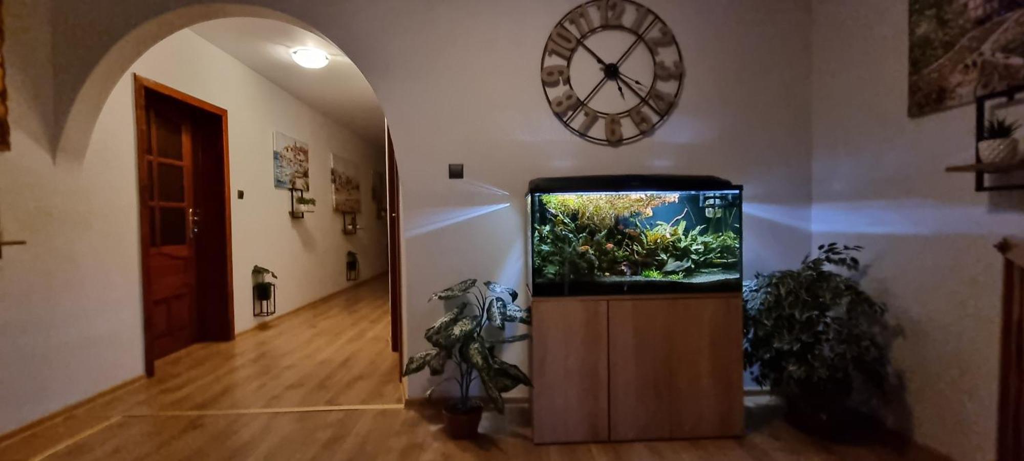 Noclegi Na Lacznej Świebodzice Exterior foto